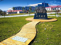 杭州天华矿业集团