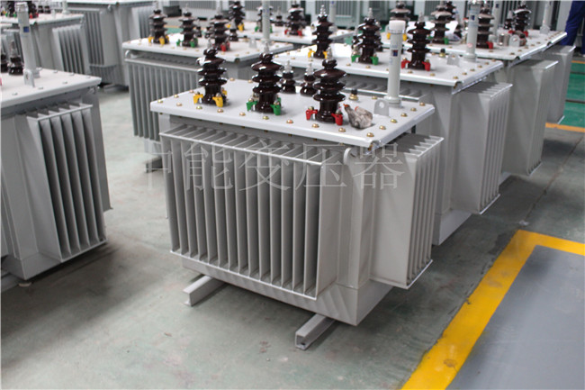 杭州S22-250KVA/10KV变压器